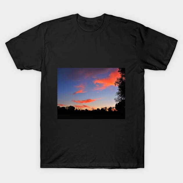 Sunset in the Forest T-Shirt by kcrystalfriend